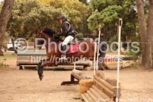 Poney_2_Cross_15h30_014.jpg
