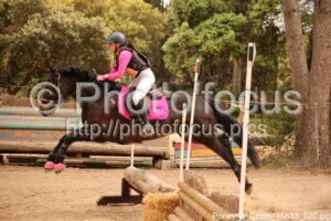 Poney_2_Cross_15h33_020.jpg