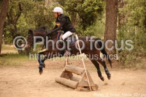 Poney_2_Cross_15h34_021.jpg