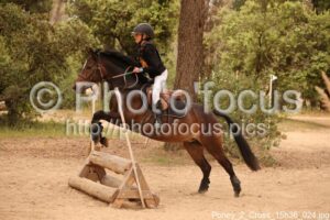 Poney_2_Cross_15h36_024.jpg
