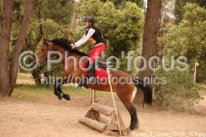 Poney_2_Cross_15h40_029.jpg