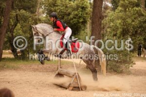 Poney_2_Cross_15h42_031.jpg