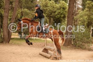 Poney_2_Cross_15h45_035.jpg
