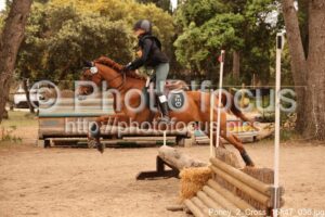 Poney_2_Cross_15h47_036.jpg