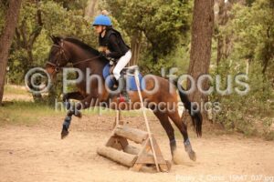Poney_2_Cross_15h47_037.jpg