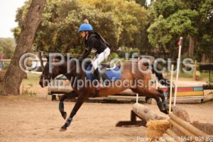 Poney_2_Cross_15h48_038.jpg