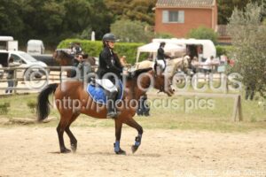 Poney_3_CSO_14h43_003.jpg