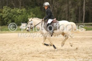 Poney_3_CSO_14h47_015.jpg