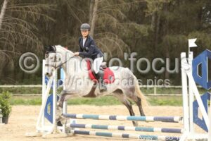 Poney_3_CSO_14h48_020.jpg