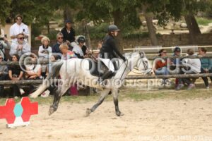 Poney_3_CSO_14h51_030.jpg
