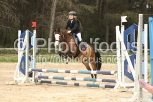 Poney_3_CSO_14h52_033.jpg