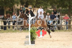 Poney_3_CSO_14h52_034.jpg