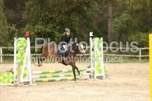Poney_3_CSO_14h53_035.jpg
