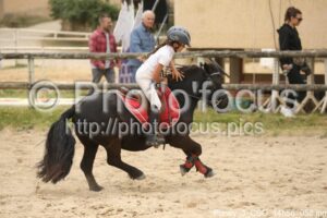 Poney_3_CSO_14h56_052.jpg