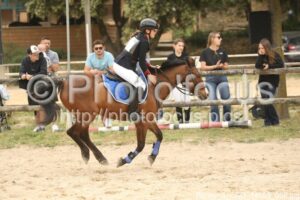 Poney_3_CSO_14h59_059.jpg