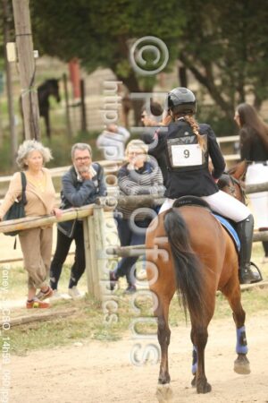 Poney_3_CSO_14h59_060.jpg