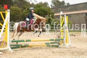 Poney_3_CSO_14h59_062.jpg