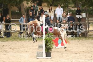 Poney_3_CSO_15h00_066.jpg