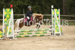 Poney_3_CSO_15h01_070.jpg