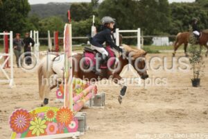 Poney_3_CSO_15h01_071.jpg