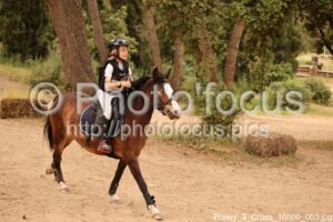 Poney_3_Cross_16h00_003.jpg