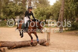 Poney_3_Cross_16h01_004.jpg