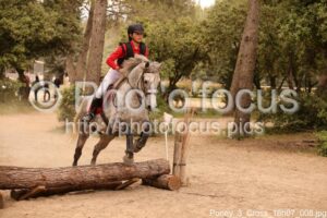 Poney_3_Cross_16h07_008.jpg