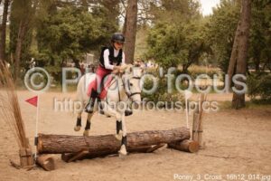 Poney_3_Cross_16h12_014.jpg