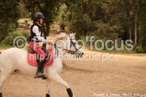 Poney_3_Cross_16h12_016.jpg