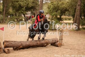 Poney_3_Cross_16h13_017.jpg
