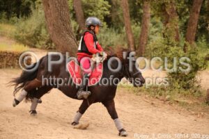 Poney_3_Cross_16h14_020.jpg