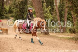 Poney_3_Cross_16h17_028.jpg