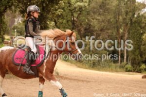 Poney_3_Cross_16h17_029.jpg