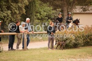 Poney_3_Cross_16h19_035.jpg