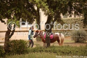 Poney_3_Cross_16h20_036.jpg