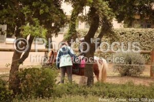 Poney_3_Cross_16h20_038.jpg