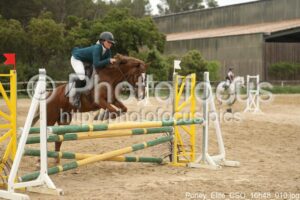 Poney_Elite_CSO_16h48_010.jpg