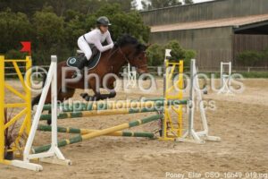 Poney_Elite_CSO_16h49_019.jpg