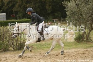 Poney_Elite_CSO_16h53_037.jpg