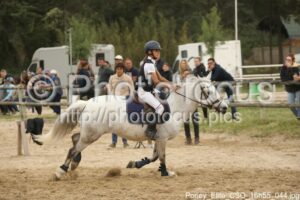 Poney_Elite_CSO_16h55_044.jpg