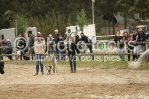Poney_Elite_CSO_16h55_045.jpg