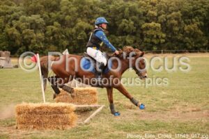 Poney_Elite_Cross_11h49_017.jpg