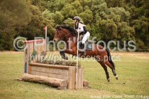 Poney_Elite_Cross_11h50_018.jpg