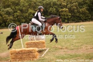 Poney_Elite_Cross_11h51_020.jpg