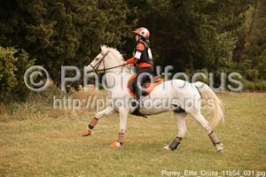 Poney_Elite_Cross_11h54_031.jpg