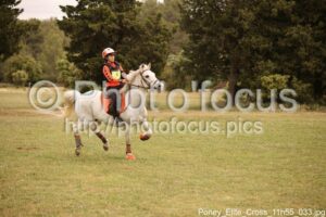 Poney_Elite_Cross_11h55_033.jpg