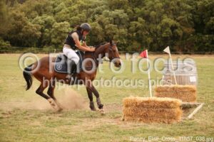 Poney_Elite_Cross_11h57_038.jpg