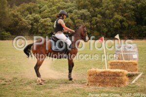 Poney_Elite_Cross_11h57_039.jpg