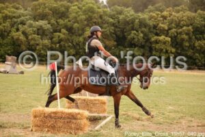 Poney_Elite_Cross_11h57_040.jpg