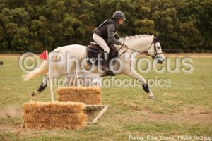 Poney_Elite_Cross_11h59_043.jpg